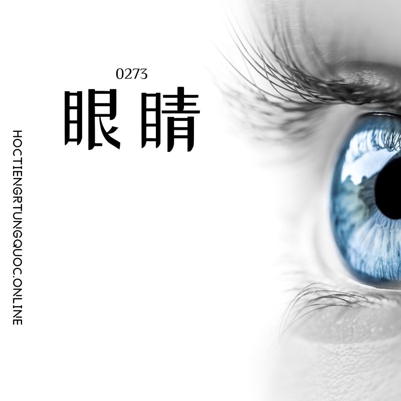 0273 – 眼睛 – HSK2 – Tu dien tam ngu 5099 tu vung HSK 1 6 1