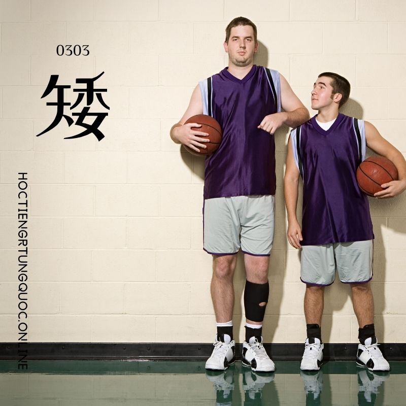 0303 – 矮 – HSK3 – Tu dien tam ngu 5099 tu vung HSK 1 6