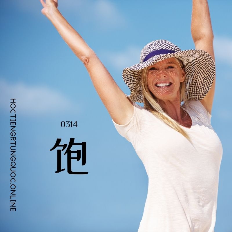 0314 – 饱 – HSK3 – Tu dien tam ngu 5099 tu vung HSK 1 6 1