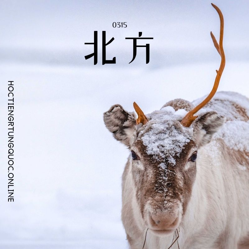 0315 – 北方 – HSK3 – Tu dien tam ngu 5099 tu vung HSK 1 6 1