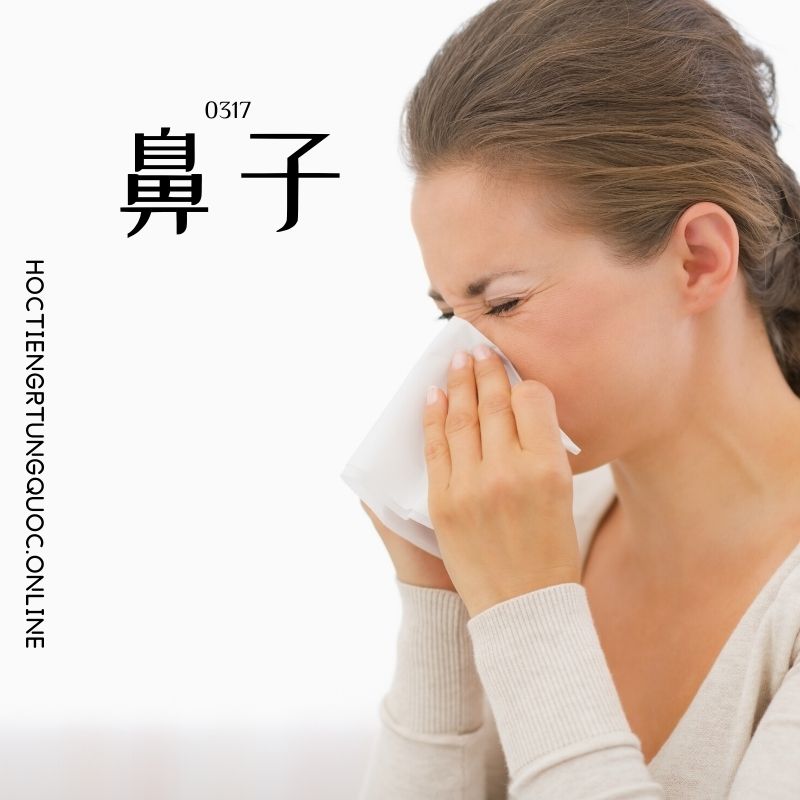 0317 – 鼻子 – HSK3 – Tu dien tam ngu 5099 tu vung HSK 1 6 1