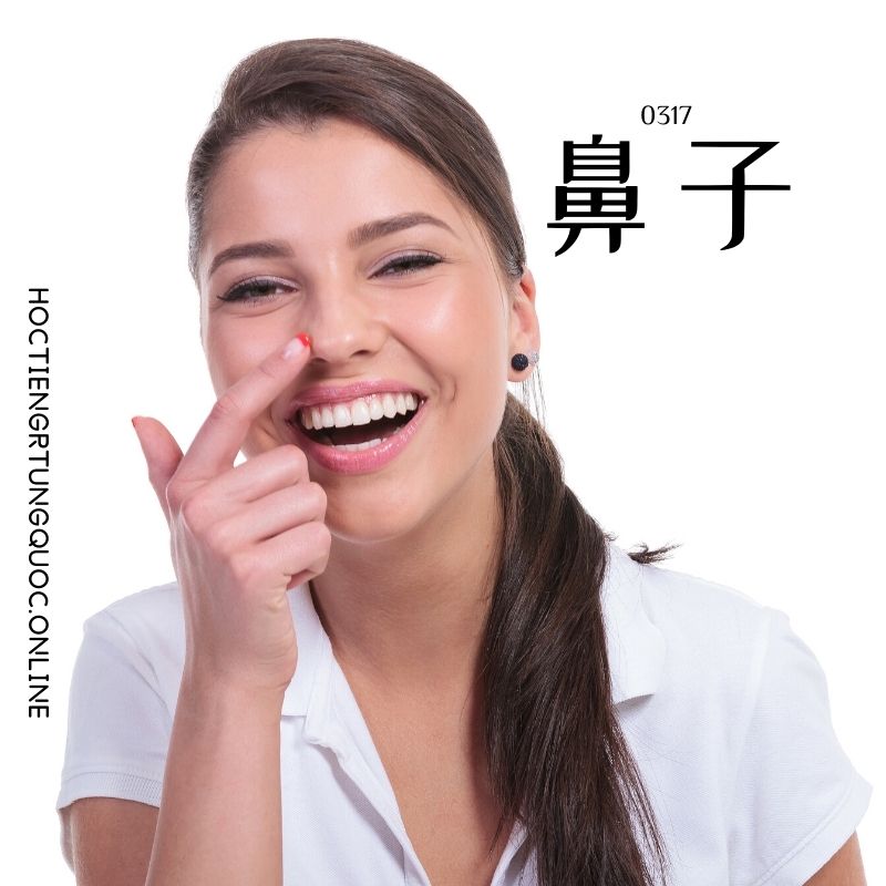 0317 – 鼻子 – HSK3 – Tu dien tam ngu 5099 tu vung HSK 1 6