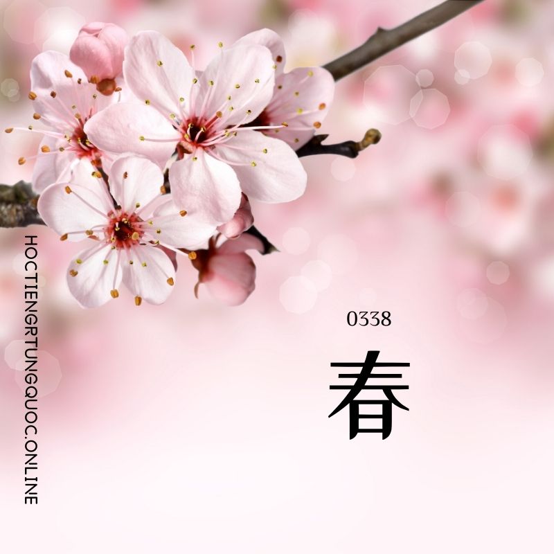 0338 – 春 – HSK3 – Tu dien tam ngu 5099 tu vung HSK 1 6 1