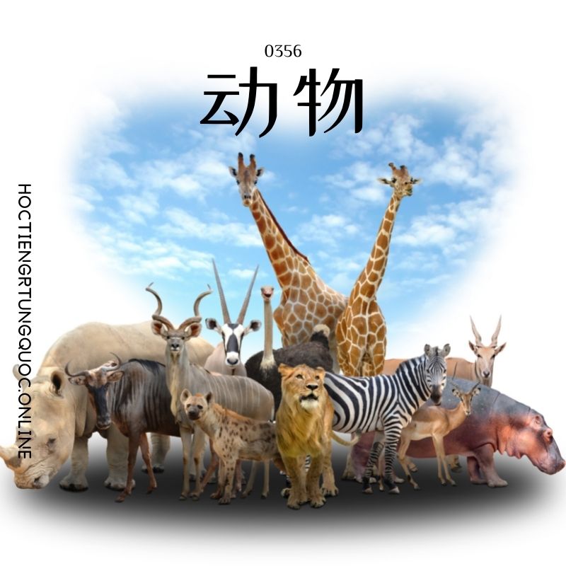 0356 – 动物 – HSK3 – Tu dien tam ngu 5099 tu vung HSK 1 6