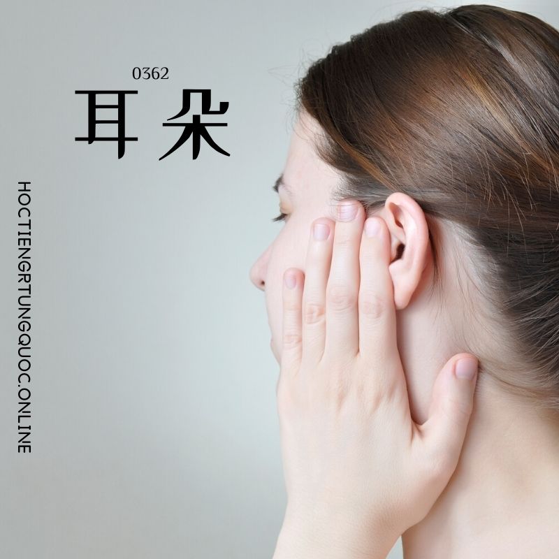 0362 – 耳朵 – HSK3 – Tu dien tam ngu 5099 tu vung HSK 1 6 1