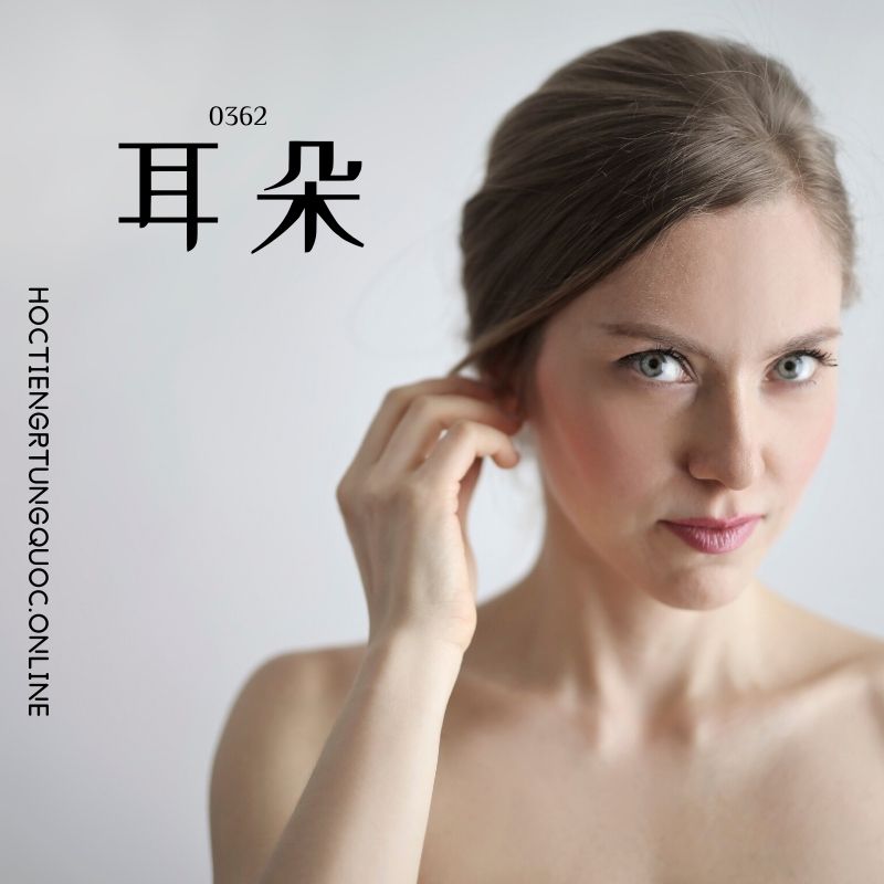 0362 – 耳朵 – HSK3 – Tu dien tam ngu 5099 tu vung HSK 1 6