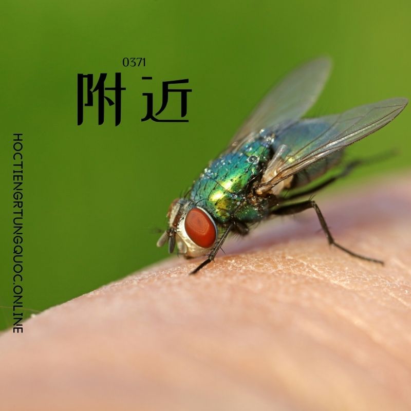 0371 – 附近 – HSK3 – Tu dien tam ngu 5099 tu vung HSK 1 6
