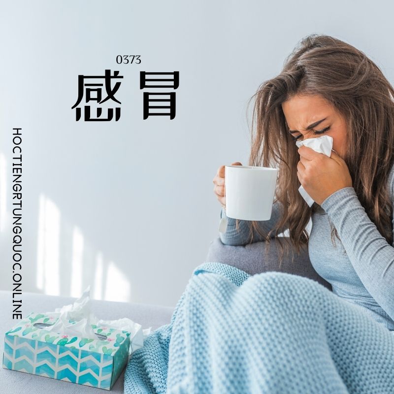 0373 – 感冒 – HSK3 – Tu dien tam ngu 5099 tu vung HSK 1 6 1