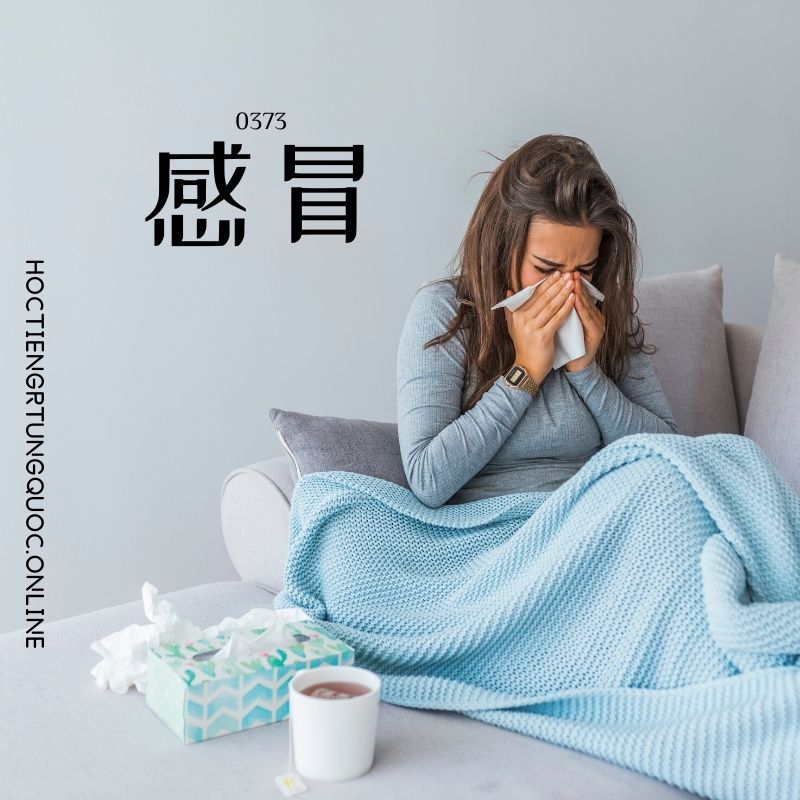 0373 – 感冒 – HSK3 – Tu dien tam ngu 5099 tu vung HSK 1 6