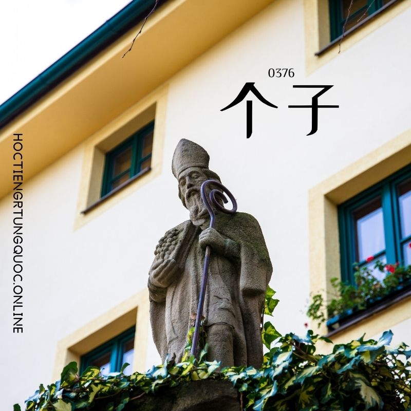 0376 – 个子 – HSK3 – Tu dien tam ngu 5099 tu vung HSK 1 6
