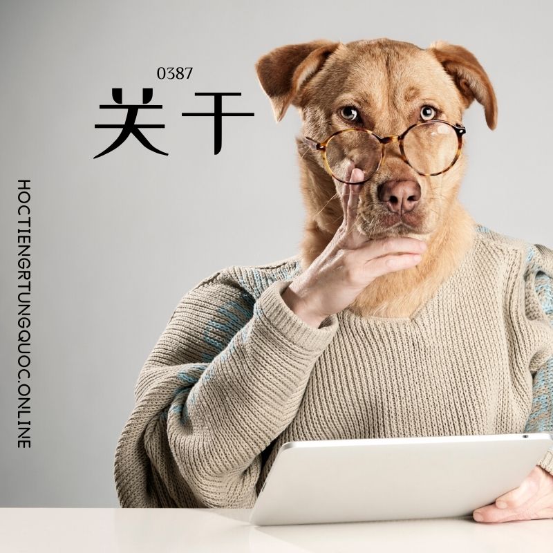 0387 – 关于 – HSK3 – Tu dien tam ngu 5099 tu vung HSK 1 6