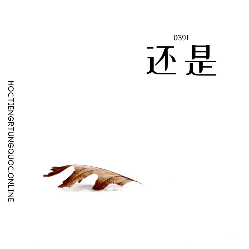 0391 – 还是 – HSK3 – Tu dien tam ngu 5099 tu vung HSK 1 6
