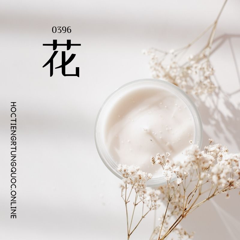 0396 – 花 – HSK3 – Tu dien tam ngu 5099 tu vung HSK 1 6 1