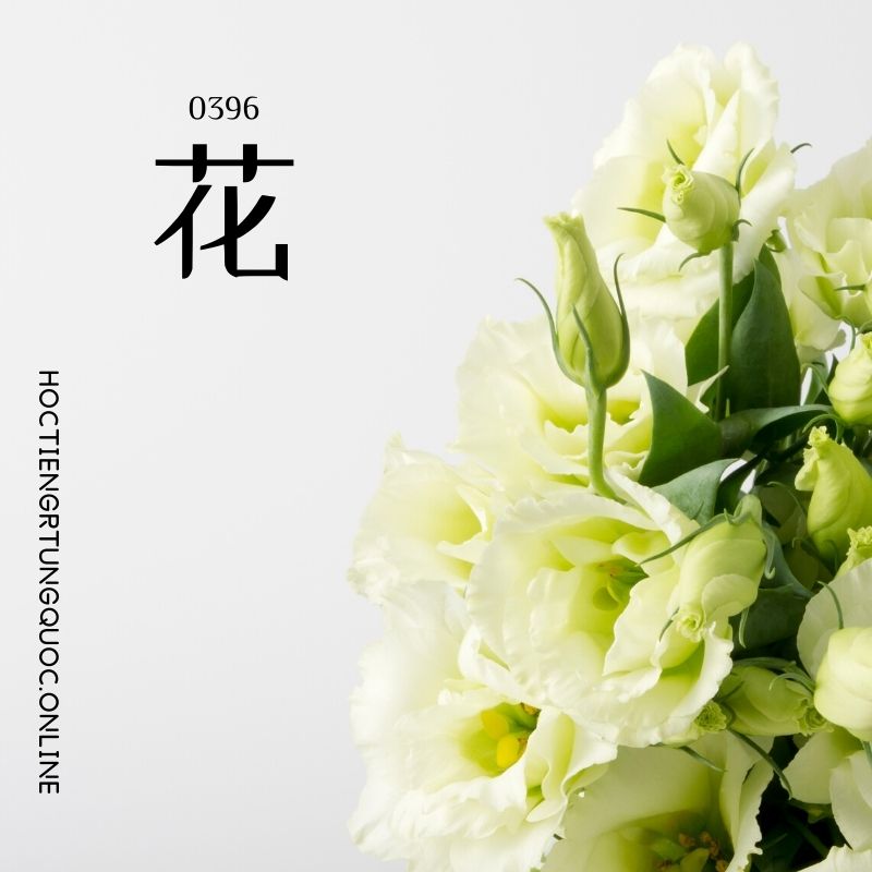 0396 – 花 – HSK3 – Tu dien tam ngu 5099 tu vung HSK 1 6