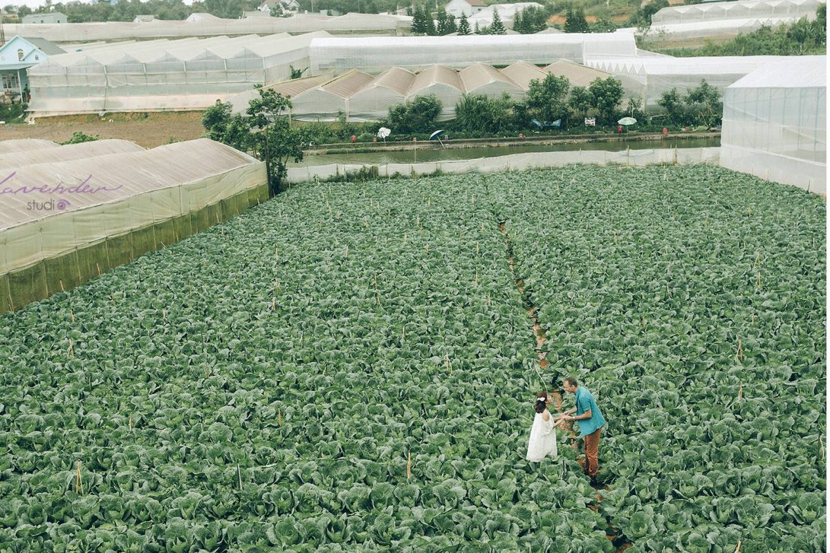 1-chup-anh-tu-goc-nhin-flycam-1200x800-1