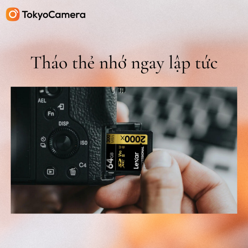 1-thao-the-nho-ngay-800x800-1