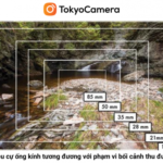 1-tieu-cu-ong-kinh-va-nhung-vung-boi-canh-ma-may-anh-co-the-lay-net-duoc-477x400-1-2