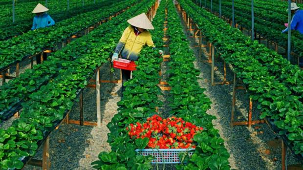 1517279831_42-5_800x450 chụp