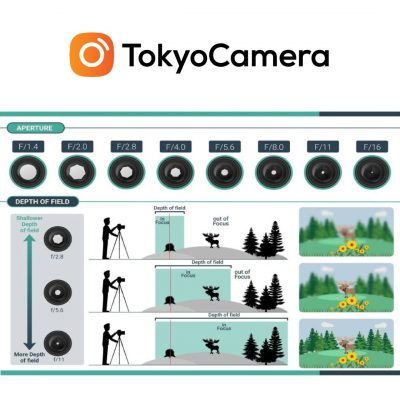 2-buc-anh-mo-ta-khau-do-anh-huong-do-sau-truong-anh-400x400-1 Bức ảnh mô tả Khẩu độ ảnh hưởng độ sâu trường ảnh