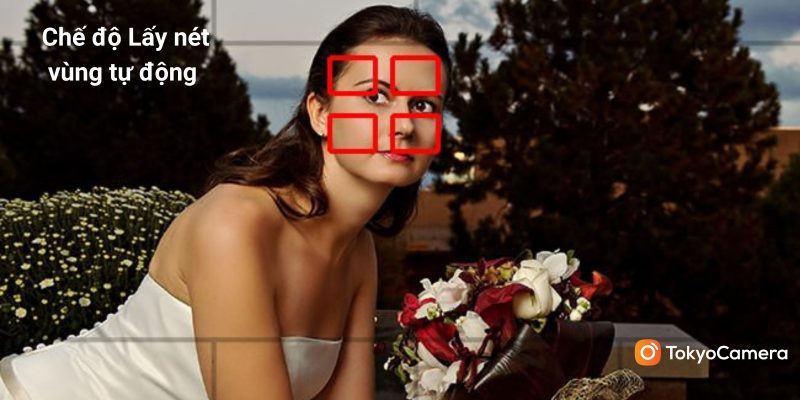 3-che-do-lay-net-vung-tu-dong-800x400-1