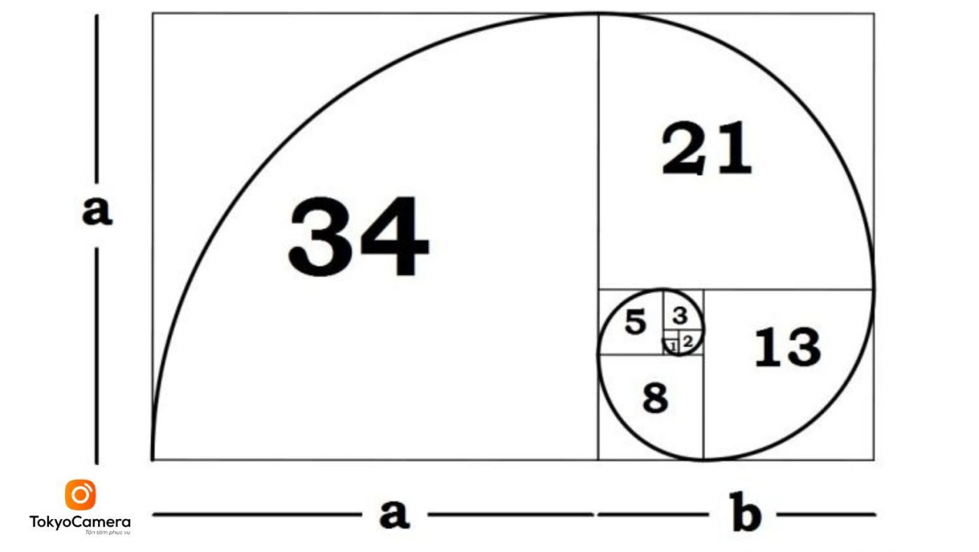 6-ti-le-vang-trong-nhiep-anh-1679540147-1400x789-1 Tỉ lệ vàng hay còn gọi là tỉ lệ Fibonacci được áp dụng rộng rãi trong kiến trúc, nghệ thuật nhiếp ảnh