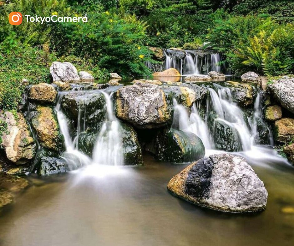 buc-anh-voi-bo-cuc-tien-canh-va-hau-canh