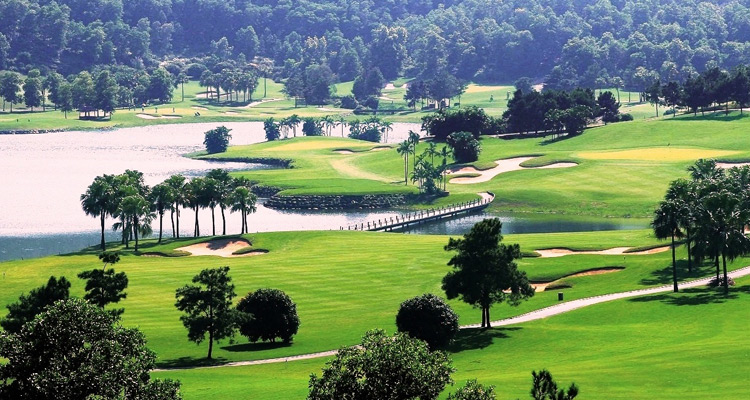 dong-mo-ha-noi-nem-tv-4