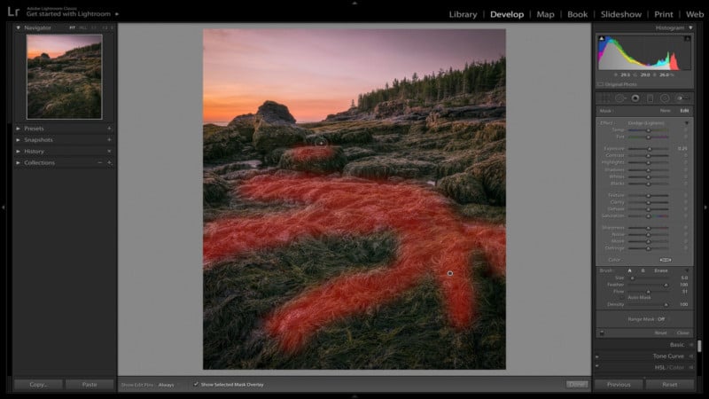image1-800x450-1