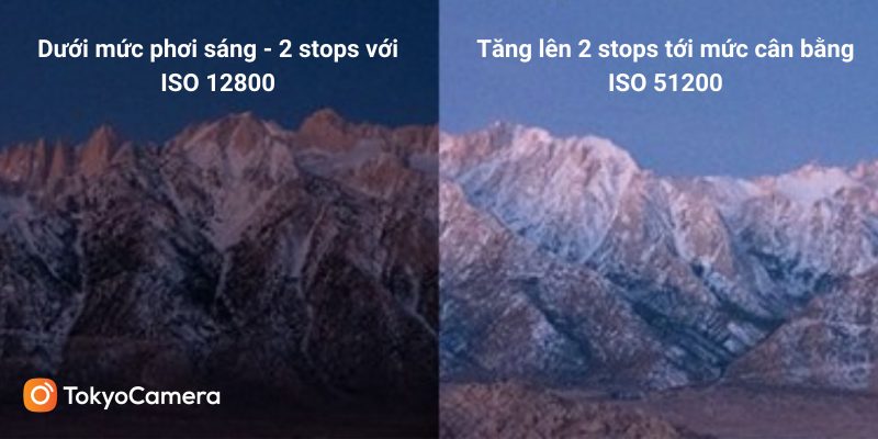 iso-dai-rong-800x400-1