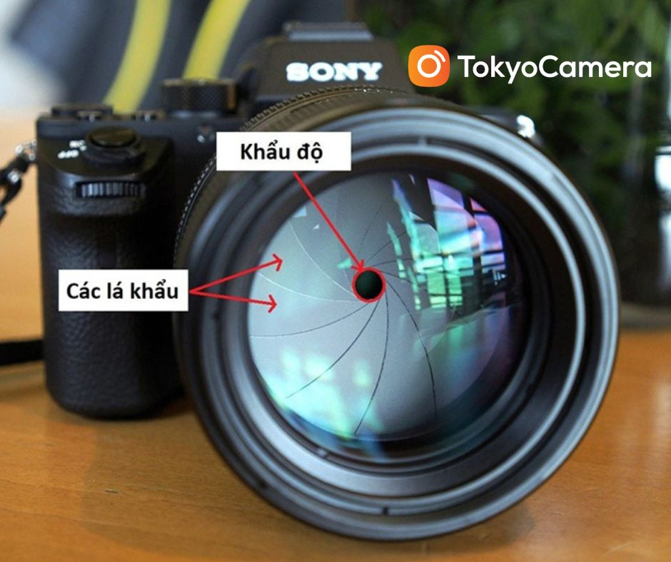 khau-do-may-anh-tokyo-camera-1677746750-1