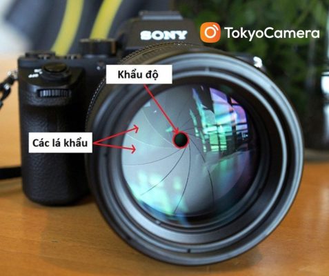 khau-do-may-anh-tokyo-camera-1677746750-477x400-4