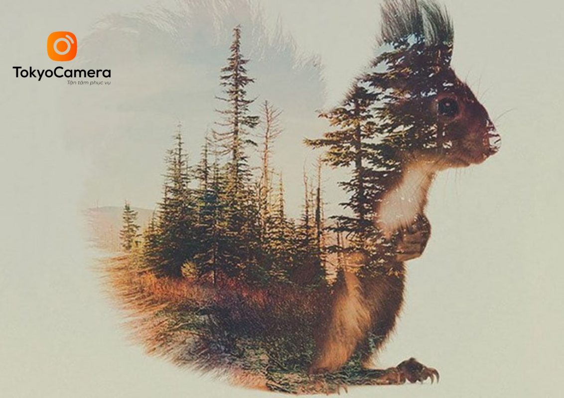 mot-buc-anh-phoi-sang-kep-duoc-ghep-tu-hai-buc-anh-khac-nhau-1680066377-1132x800-1