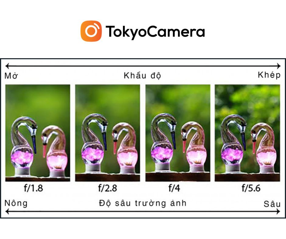 sau-truong-anh-anh-huong-toi-khau-do-nhu-the-nao-1677746750