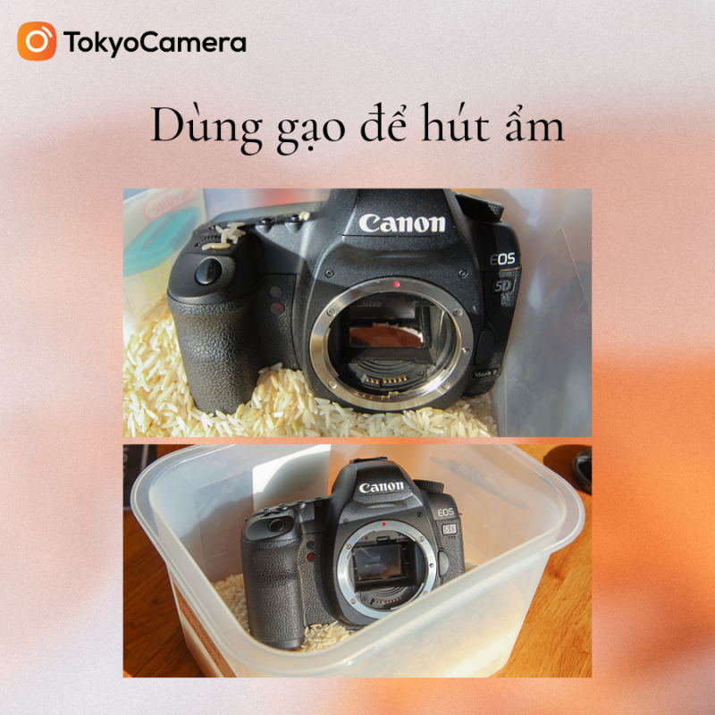 su-dung-hop-dung-gao-de-hut-am-800x800-1