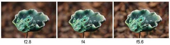 tieu-cu-2