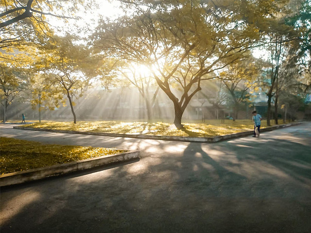 28951441513_cafbe2f8d0_z 2