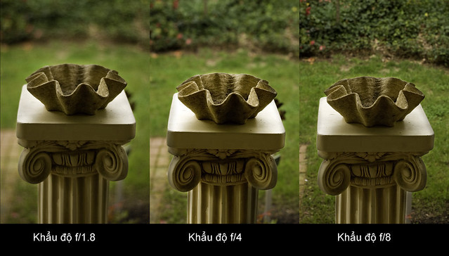 29393039574_788320546c_z khẩu độ xóa phông