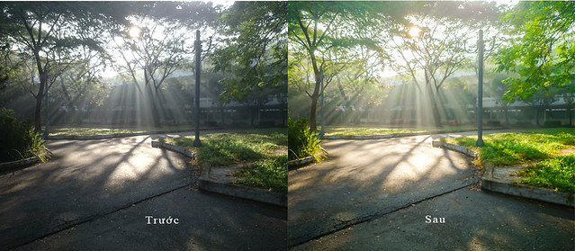 29464910972_73a94da857_z 7