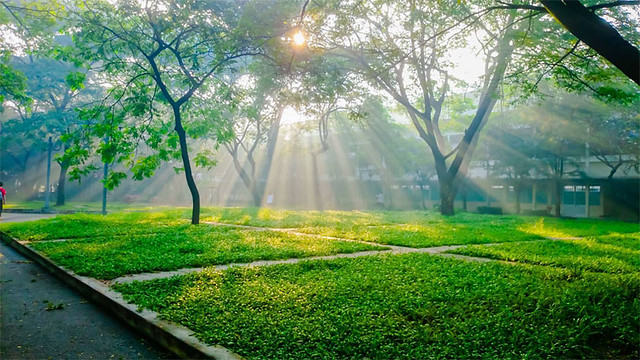 29464912262_107682f233_z 3