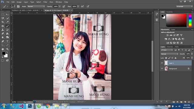 29573125071_5e13e50294_z 8