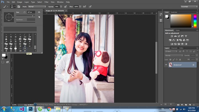 29654521325_03408e4ff8_z 7