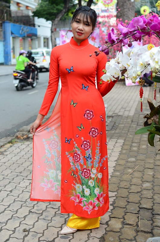 31832690464_b0f54fcb06_c DSC_1516