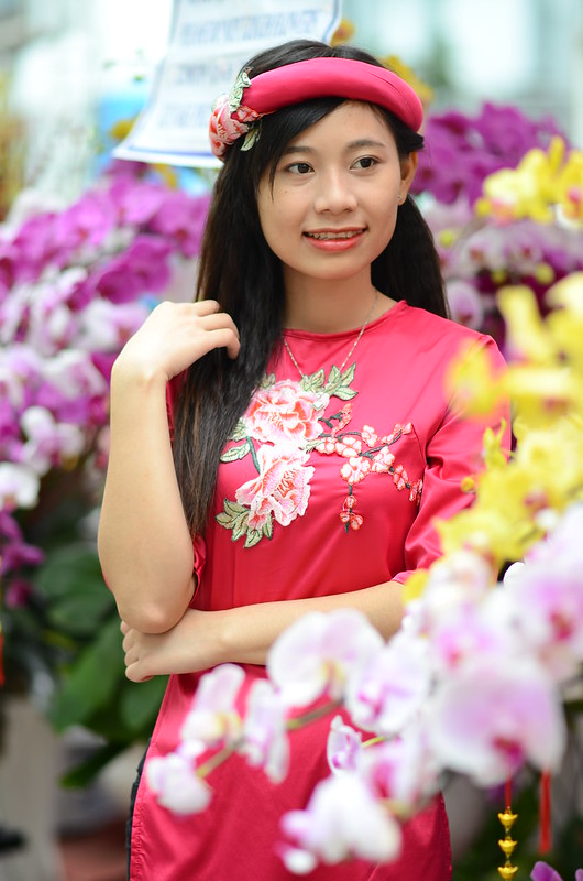 31863213593_87bc75b67d_c DSC_1807