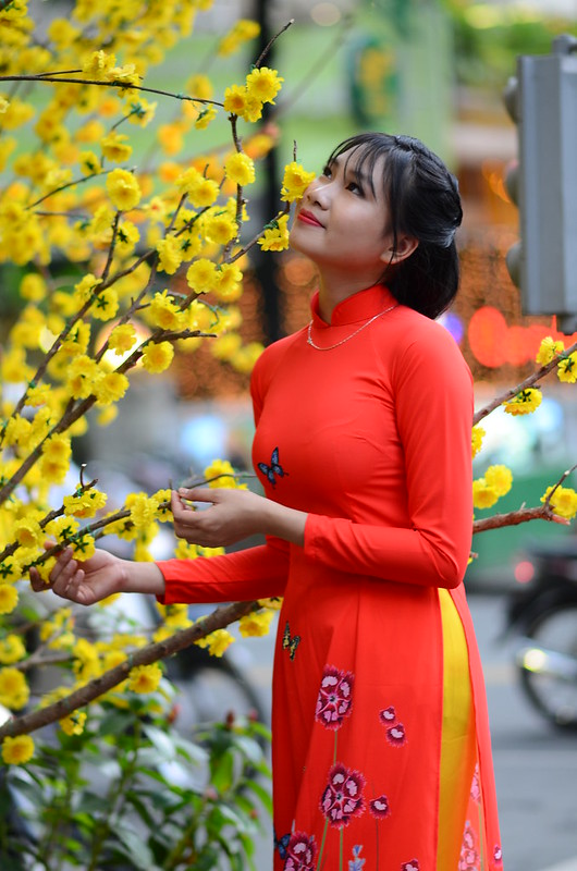 31863216783_8bd88da976_c DSC_1570