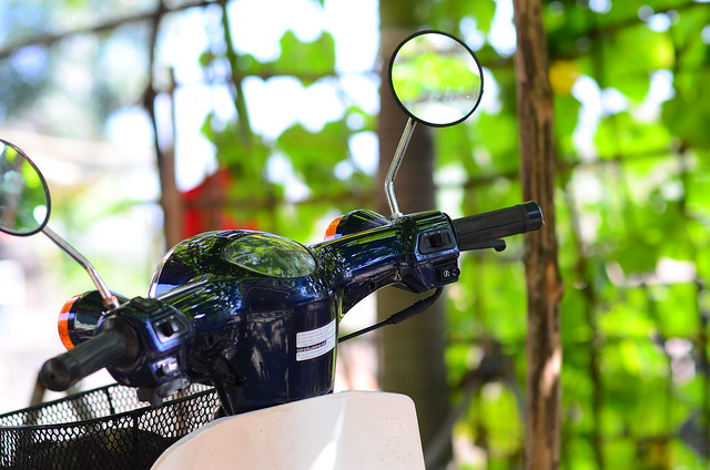 31863616323_01158591fc_z DSC_2361