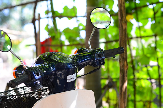 32296834260_d482ebfdf3_z DSC_2362