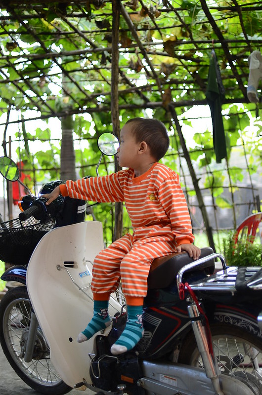 32296849610_b6c05aeb74_c DSC_2417