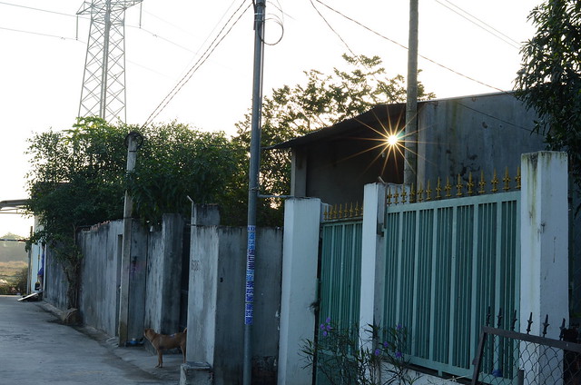 32522837692_8b5a81a77e_z DSC_0582