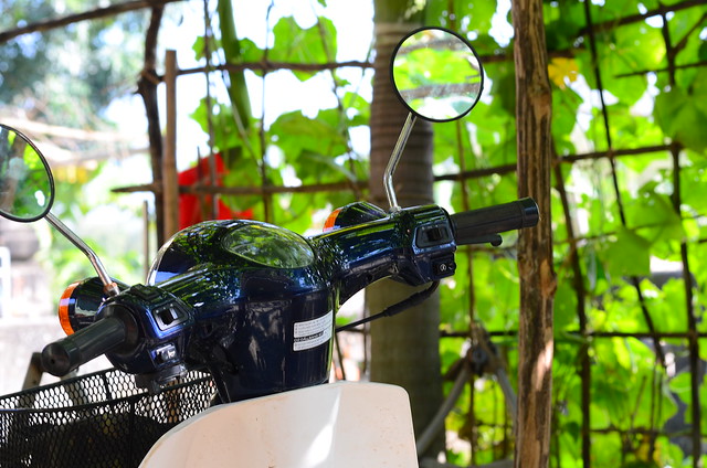 32523102242_cfaa34d109_z DSC_2364