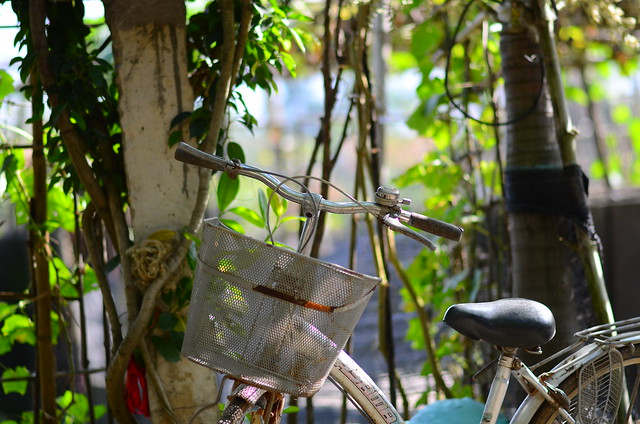 32675404925_ab7e2d8536_z DSC_2373